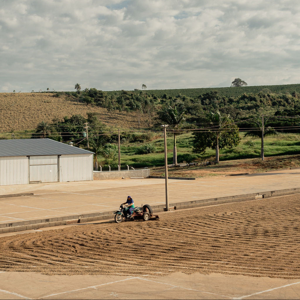 Fazenda São Domingos